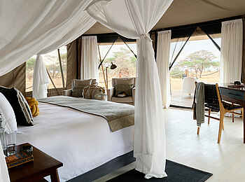 Sanctuary Swala: Blick nach draußen