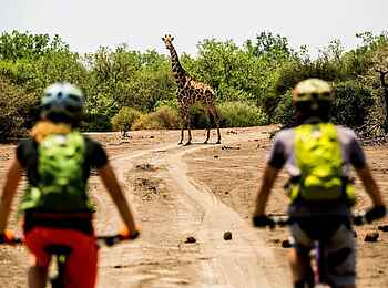 Thamo Telele Camp: Fahrrad Safari Thamo Telele Camp: Fahrrad Safari
