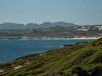Whalesong Lodge: Blick auf die Bucht Whalesong Lodge: Blick auf die Bucht