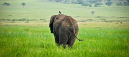 Kidepo National Park