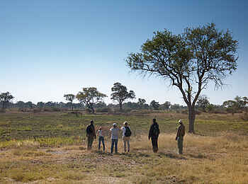 Belmond Eagle Island Lodge: Exkursion zu Fuß Belmond Eagle Island Lodge: Exkursion zu Fuß