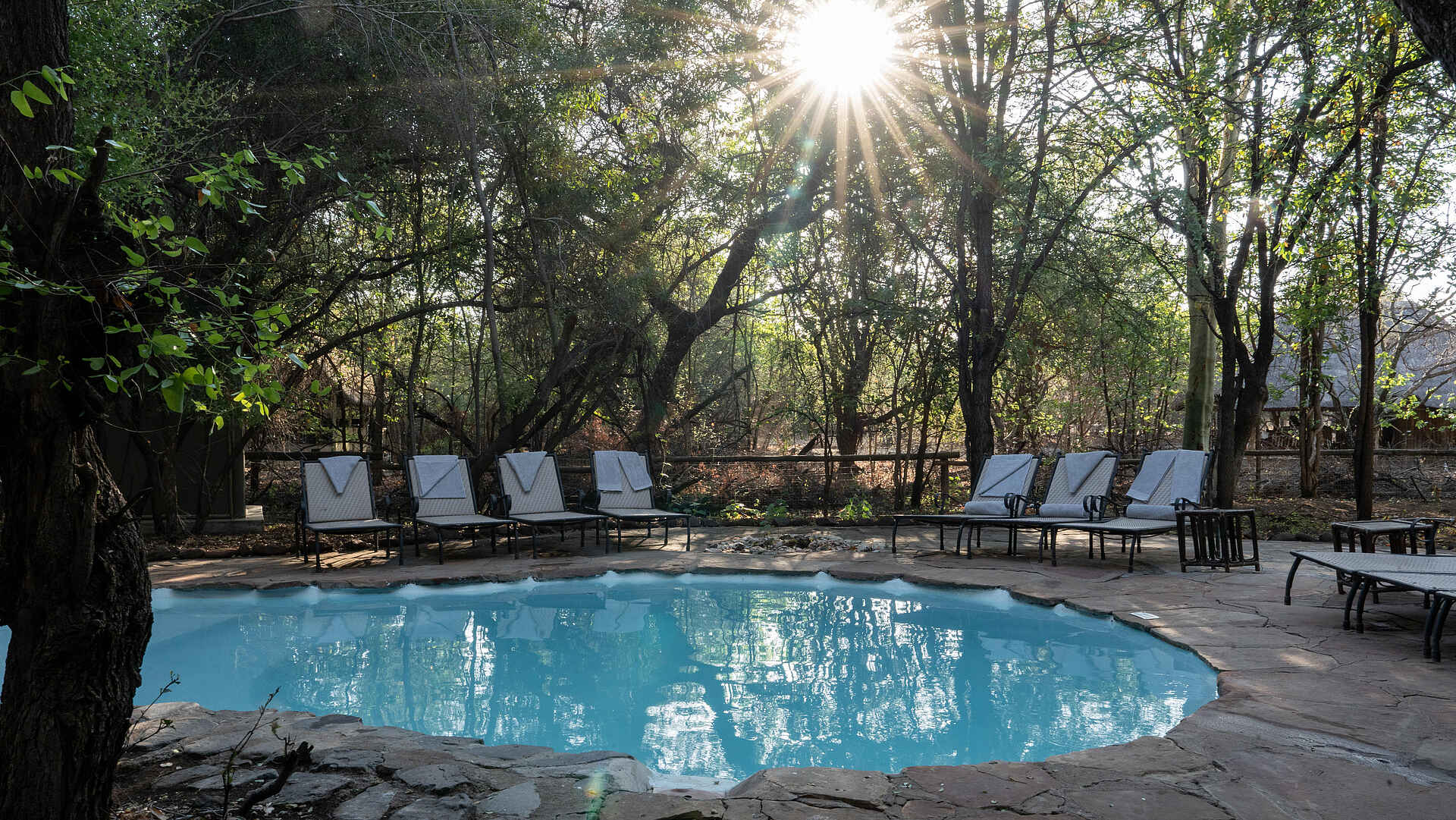 Mashatu Tent Camp: Pool Mashatu Tent Camp: Pool