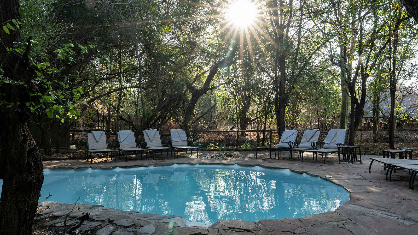 Mashatu Tent Camp: Pool Mashatu Tent Camp: Pool