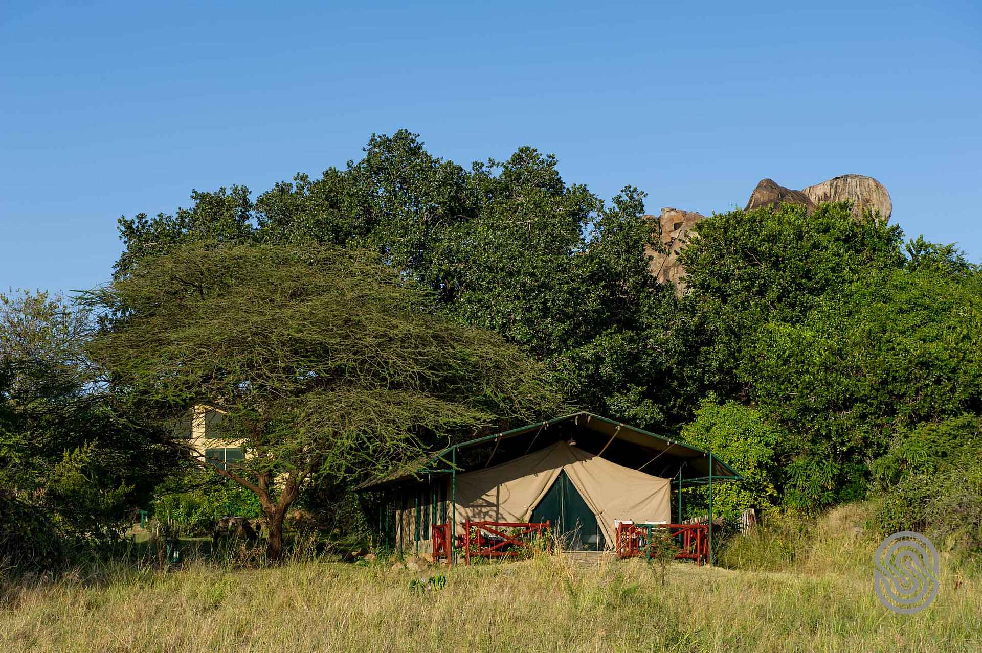 Mbuzi Mawe Serena Camp: Blick auf ein Gästezelt Mbuzi Mawe Serena Camp, Serena Hotels, Serengeti, Gästezelt, afrikarma, afrikarma Safaris, afrikarma Safaris - Wildnis. Hautnah., afrikarma.de
