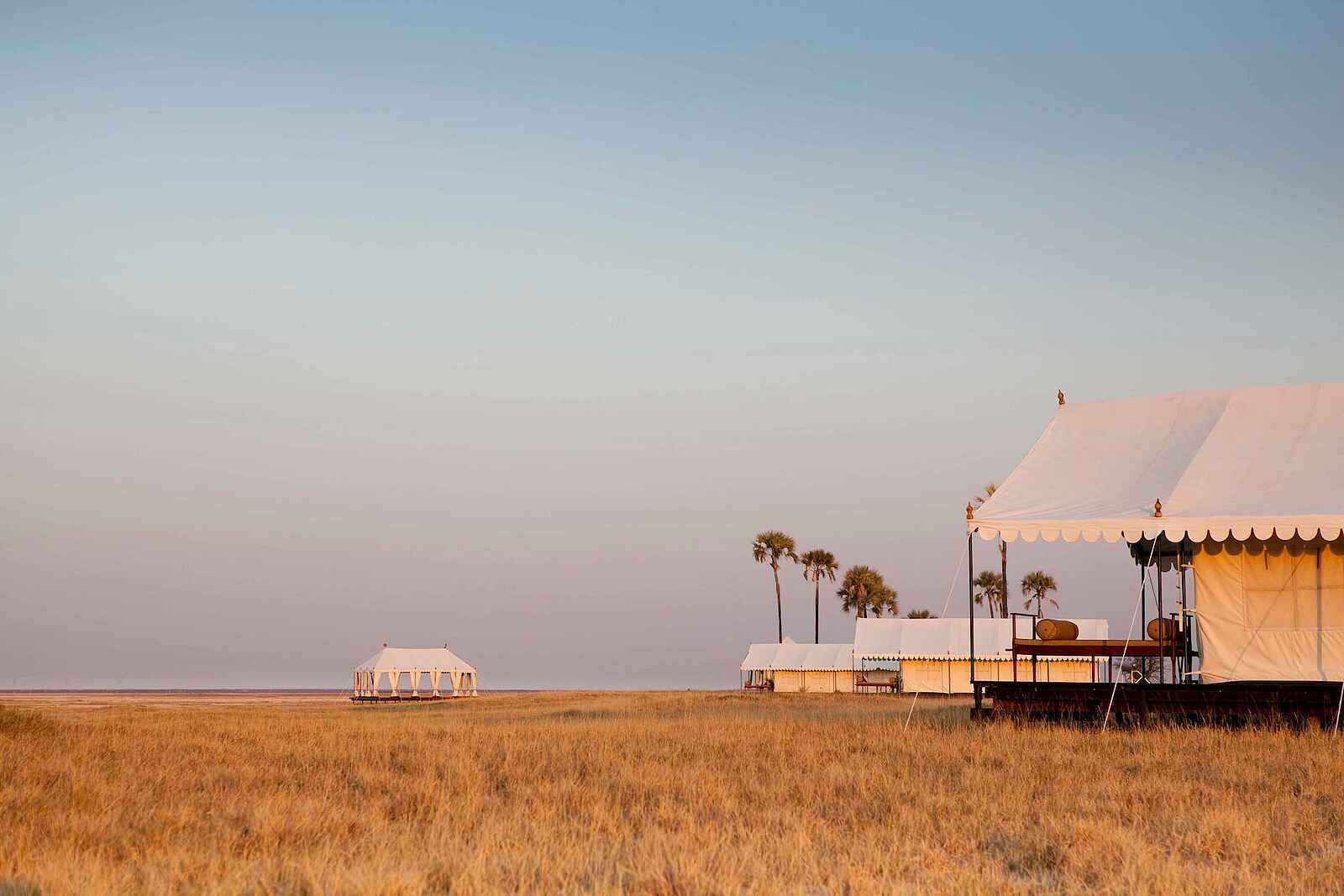 San Camp: Yogazelt San Camp: Yogazelt