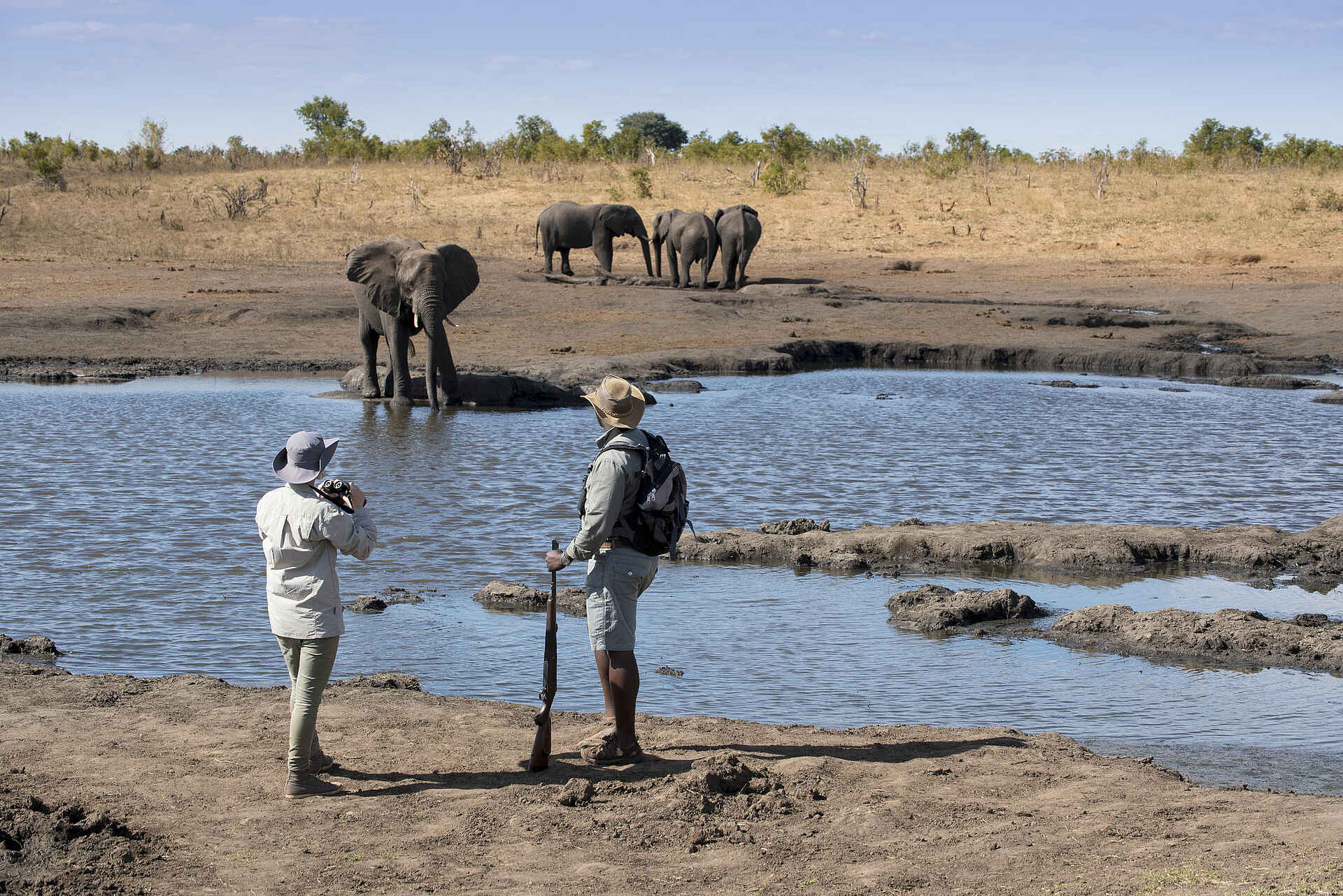 Somalisa Expeditions Camp: Elefanten am Fluß