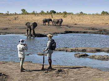 Somalisa Expeditions Camp: Elefanten am Fluß