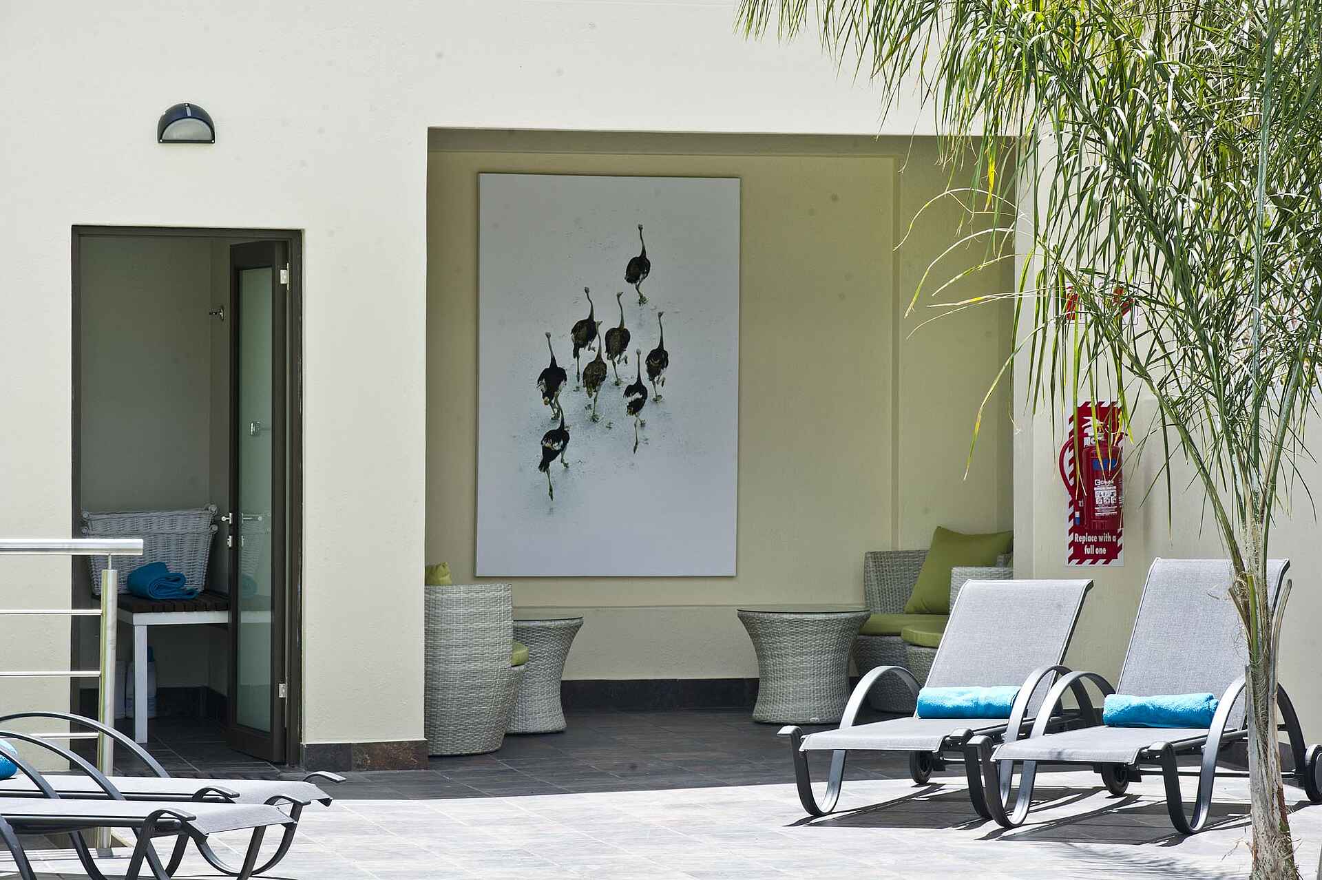 Erospark, Galton House, Guesthouse, Pension, Innenhof, Liegestuhl, Swimming Pool, Afrikarma, Afrikarma Safaris, Afrikarma Safaris. Wildnis. Hautnah., Afrikarma.de