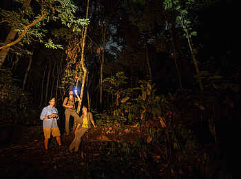 Ngaga Camp: Nächtliche Buschwanderung