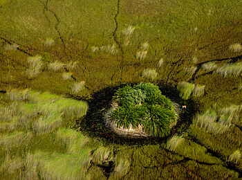 Selinda Camp: Landschaft