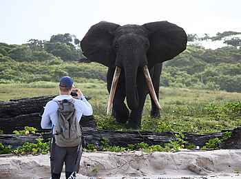 Sette Cama Eco Camp: Küstenwanderung mit Elefant