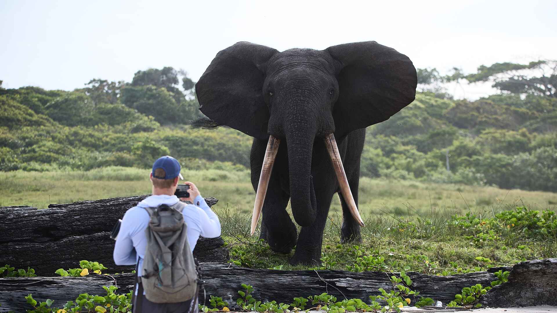 Sette Cama Eco Camp: Küstenwanderung mit Elefant