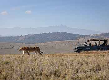 Borana Lodge: Auf einer Pirschfahrt Borana Lodge: Auf einer Pirschfahrt