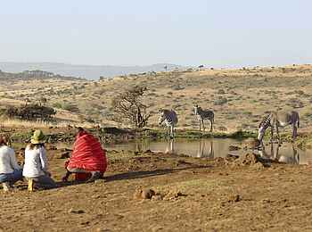 Kifaru House: Besuch eines Wasserlochs Kifaru House: Besuch eines Wasserlochs