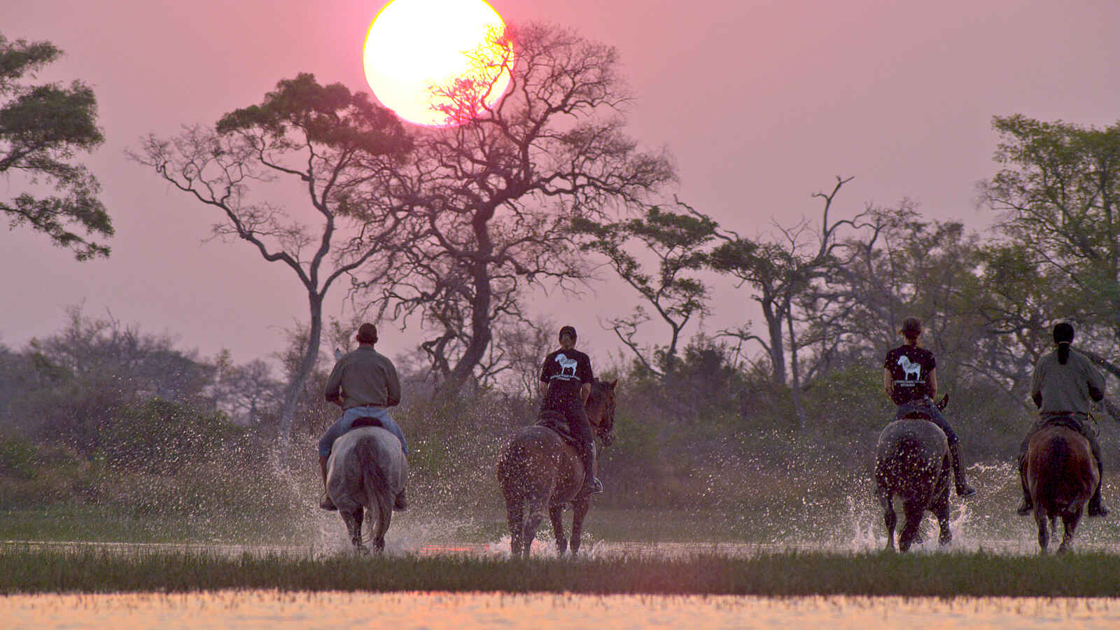 Kujwana Camp: Ausritt am Morgen Kujwana Camp: Ausritt am Morgen