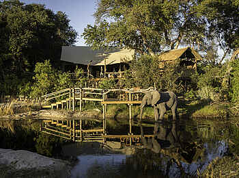 Little Tubu: Elefant vor dem Sonnendeck Little Tubu: Elefant vor dem Sonnendeck