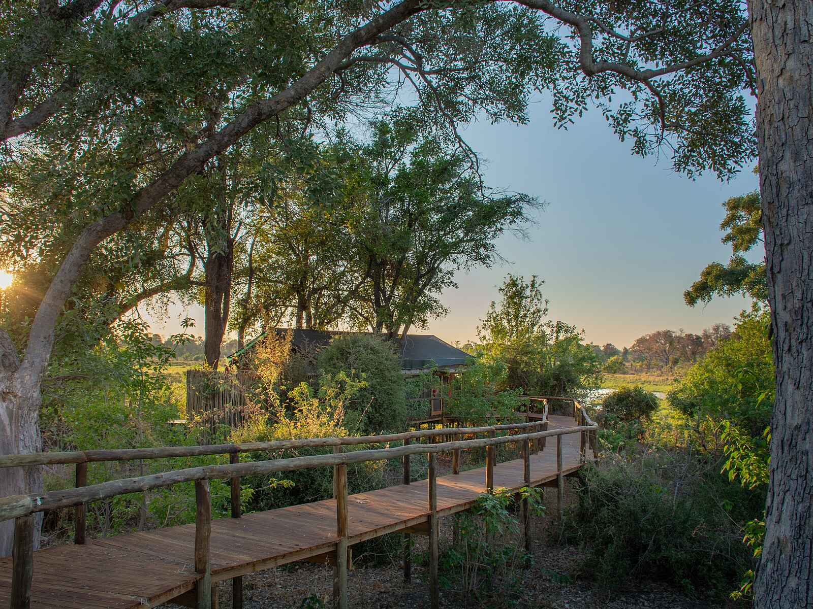 Mma Dinare Camp: Stege führen durchs Camp Mma Dinare Camp: Stege führen durchs Camp