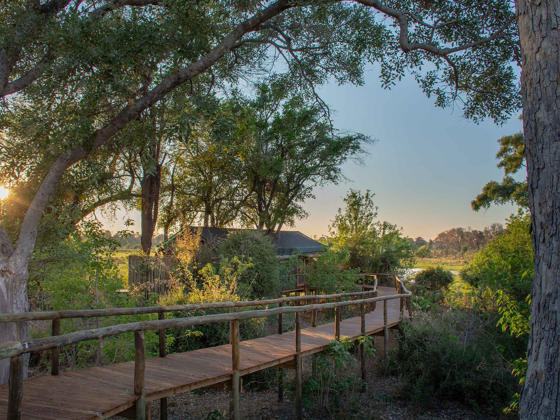 Stege führen durchs Mma Dinare Camp