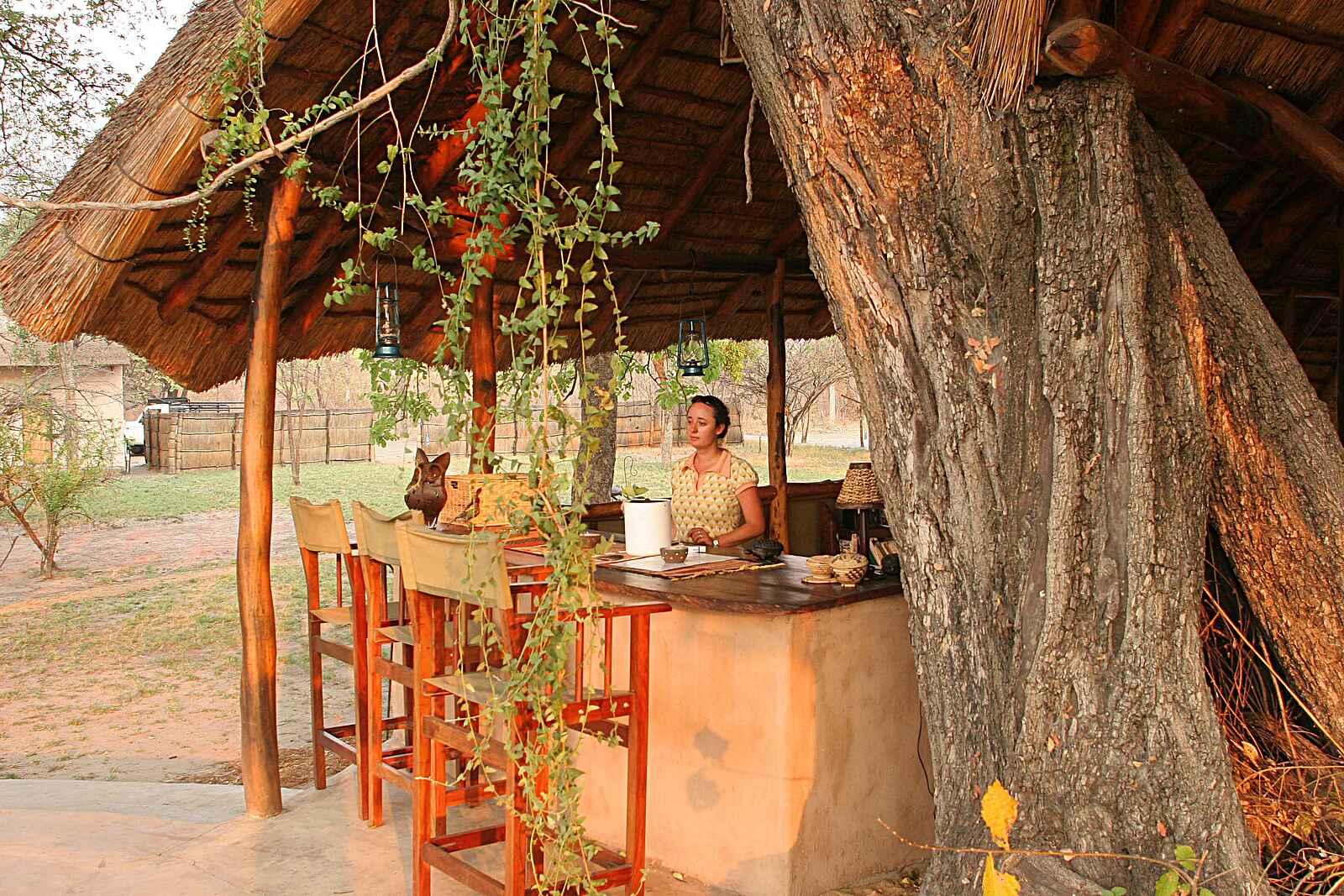 Nanzhila Plains Safari Camp: Bar Nanzhila Plains Safari Camp: Bar