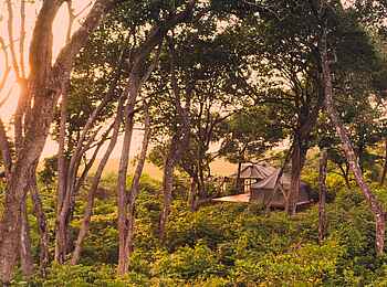 Nyanga Lodge: Ansicht