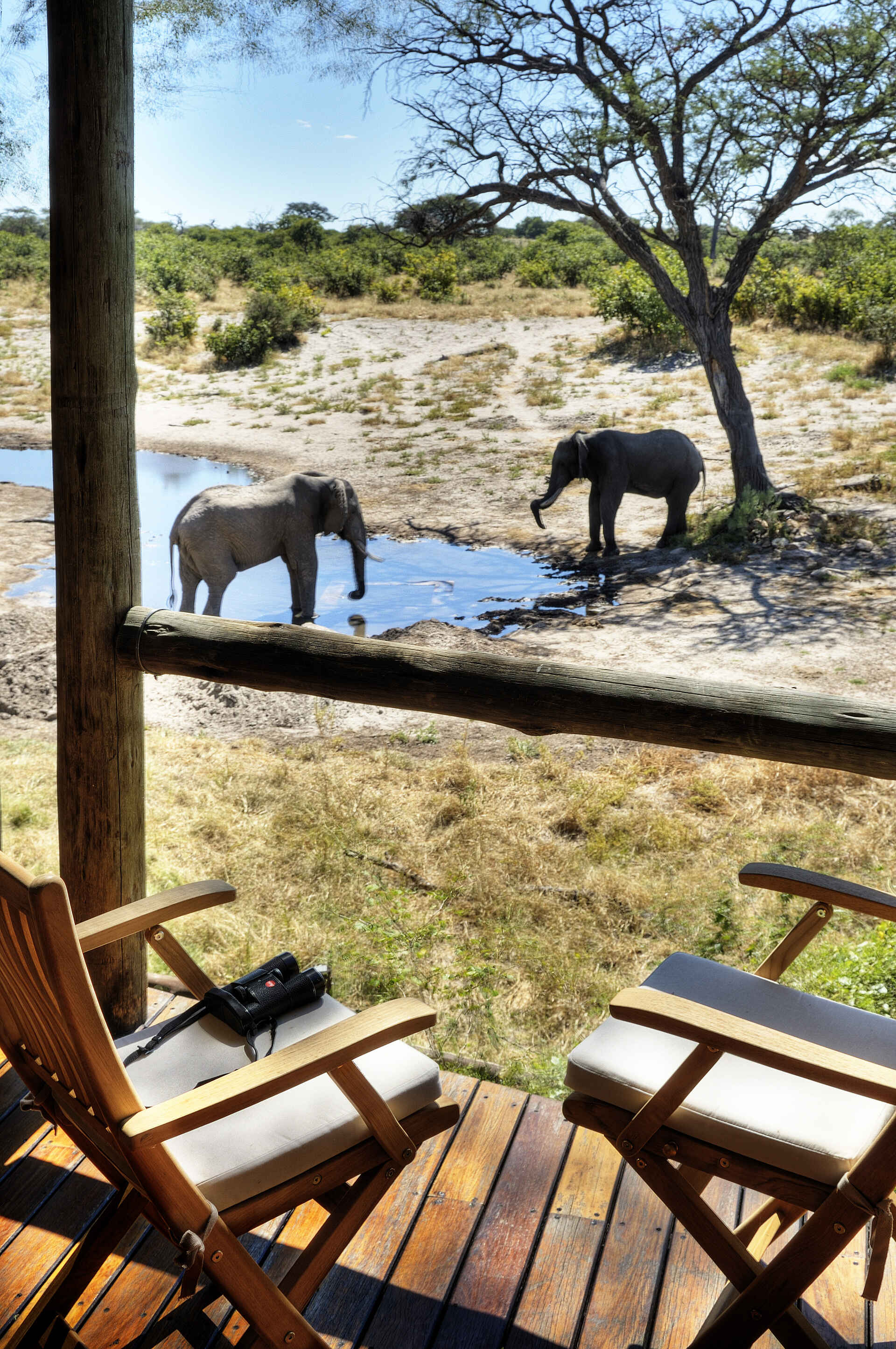 Savute Safari Lodge: Wasserstelle