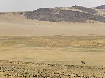 Serra Cafema: Hartmann's Tal