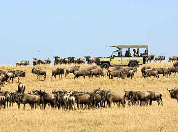 Ubuntu Migration Camp: Migration