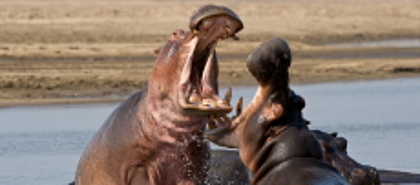 Luangwa Tal