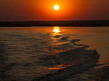 Tusk and Mane Safaris: Wellen im Sonnenschein Tusk and Mane Safaris: Wellen im Sonnenschein