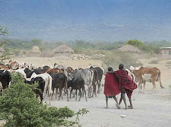 andBeyond Lake Manyara Tree Lodge: Ein Dorfbesuch