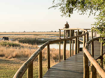 Chobe Savanna Lodge: Wege