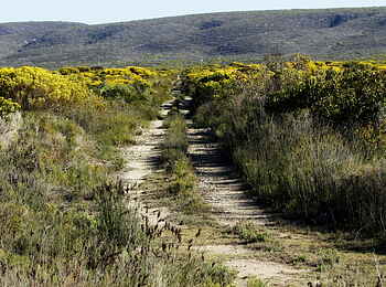 De Hoop Collection Lodge: Unterwegs De Hoop Collection Lodge: Unterwegs
