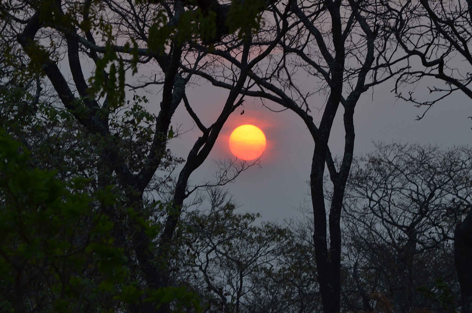 Leopard Lodge: Abendsonne Leopard Lodge: Abendsonne