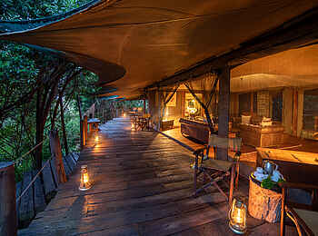 Mara Plains Jahazi: In der Dämmerung