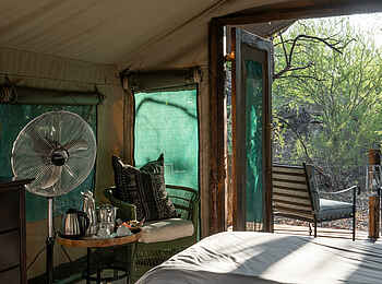 Mashatu Tent Camp: Blick aus dem Gästezelt Mashatu Tent Camp: Blick aus dem Gästezelt