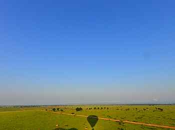 Murchison Falls Ballonfahrt: Ballonschatten