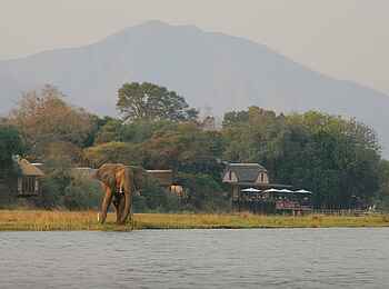 Royal Zambezi Lodge: Elefant vor der Lodge