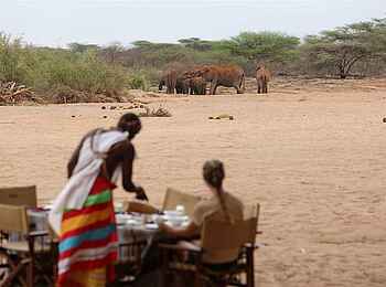 Saruni Rhino: Frühstück mit Elefanten Saruni Rhino: Frühstück mit Elefanten