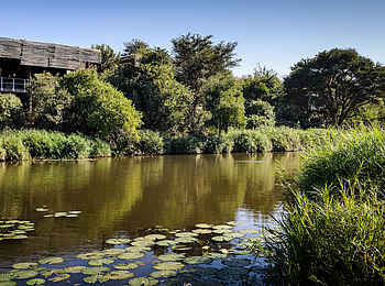 Singita Sweni Lodge: Blick auf die Lodge