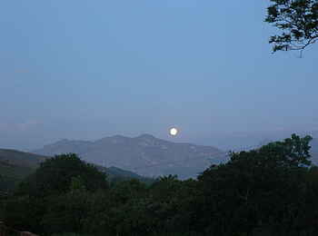 Frog and Fern Cottages: Mondaufgang Frog and Fern Cottages: Mondaufgang