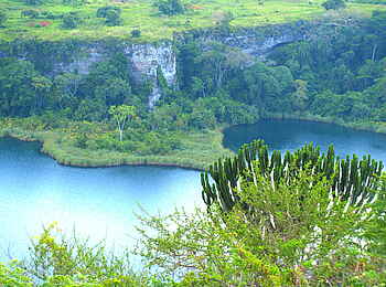 Kyaninga Lodge: Euphorbie am Kraterrand Kyaninga Lodge: Euphorbie am Kraterrand