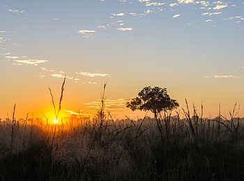 Splash Camp: Sonnenaufgang