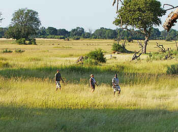 Camp Okavango: Zu Fuss unterwegs Camp Okavango: Zu Fuss unterwegs