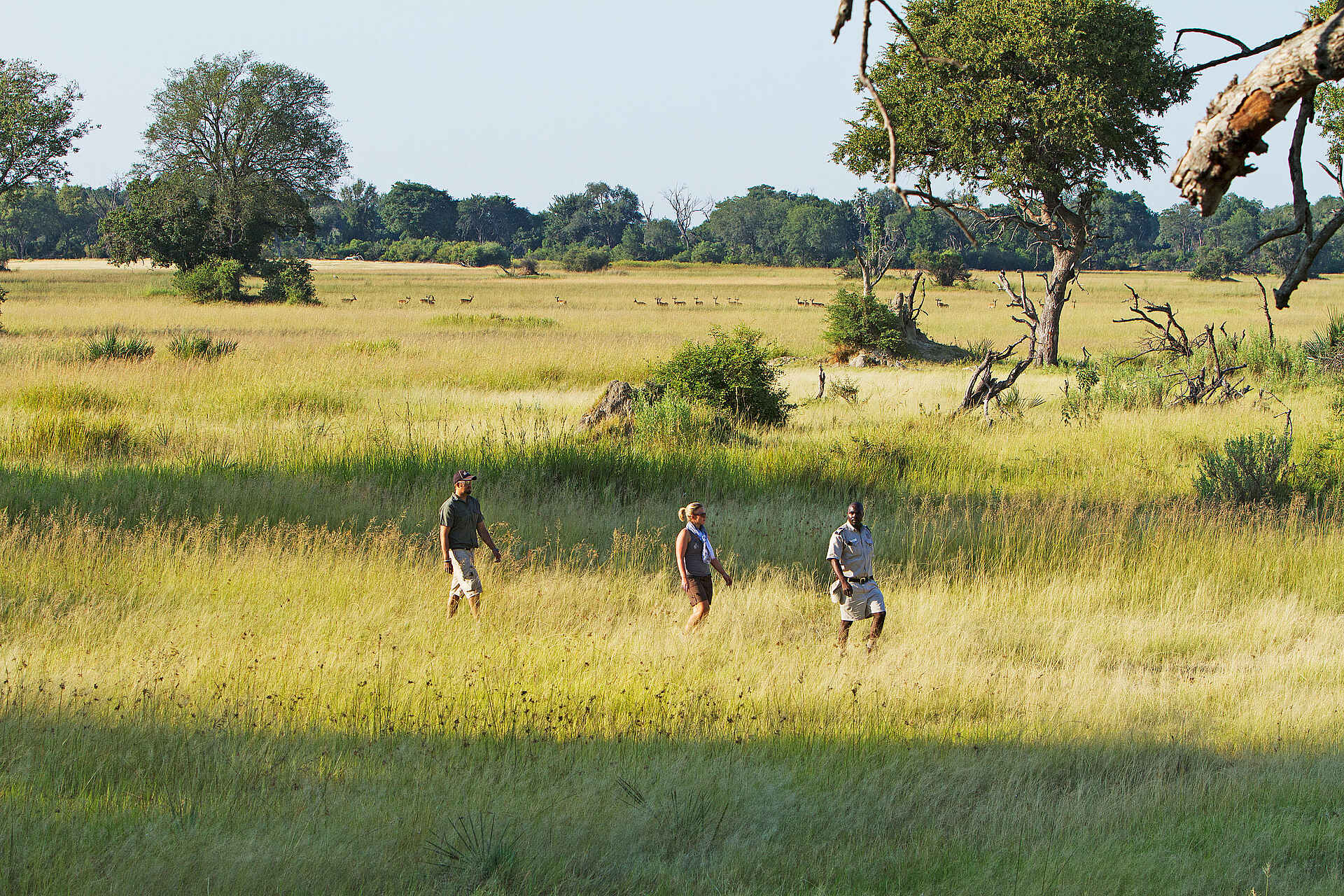 Camp Okavango: Zu Fuss unterwegs Camp Okavango: Zu Fuss unterwegs