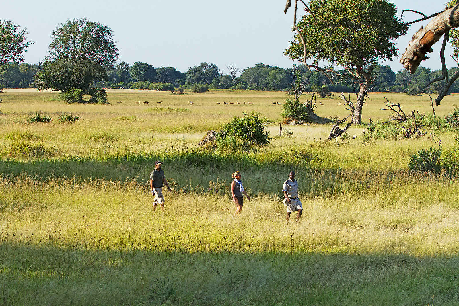 Camp Okavango: Zu Fuss unterwegs Camp Okavango: Zu Fuss unterwegs