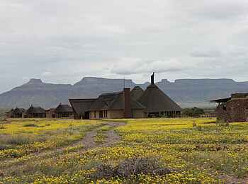 Hoodia Desert Lodge: Wüstenblumen vor der Lodge