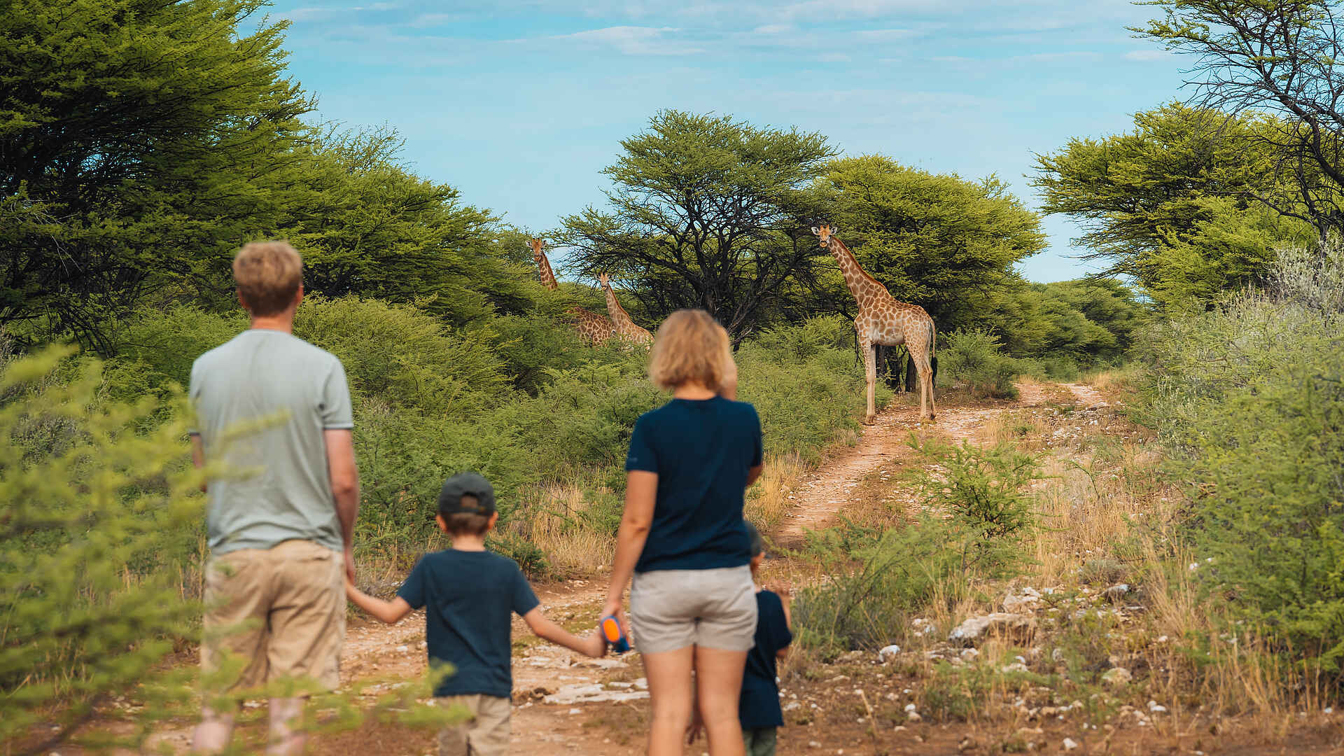 Kambaku Safari Lodge: Giraffen auf Wandersafari entdecken