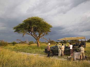 Sandibe Okavango Safari Lodge: Pirschfahrt mit Picknick Sandibe Okavango Safari Lodge: Pirschfahrt mit Picknick