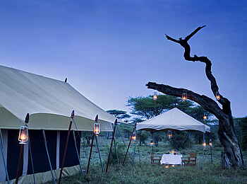 Serengeti under Canvas: Zeltexterieur Serengeti under Canvas: Zeltexterieur