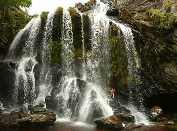 Frog and Fern Cottages: Wasserfälle mit Pool Frog and Fern Cottages: Wasserfälle mit Pool
